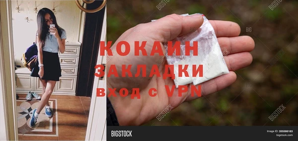 дживик Белокуриха