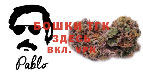 дживик Белокуриха