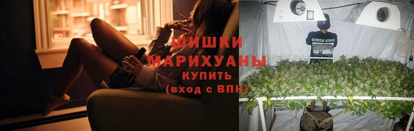 сатива Балахна