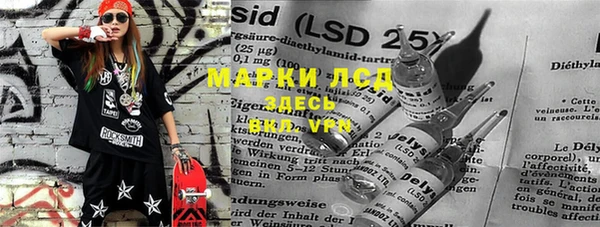 сатива Балахна