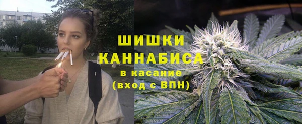 дживик Белокуриха